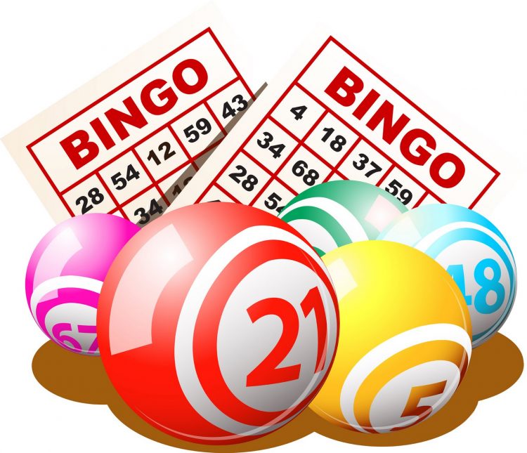 bingo-1-750x645 bingo-1-750x645